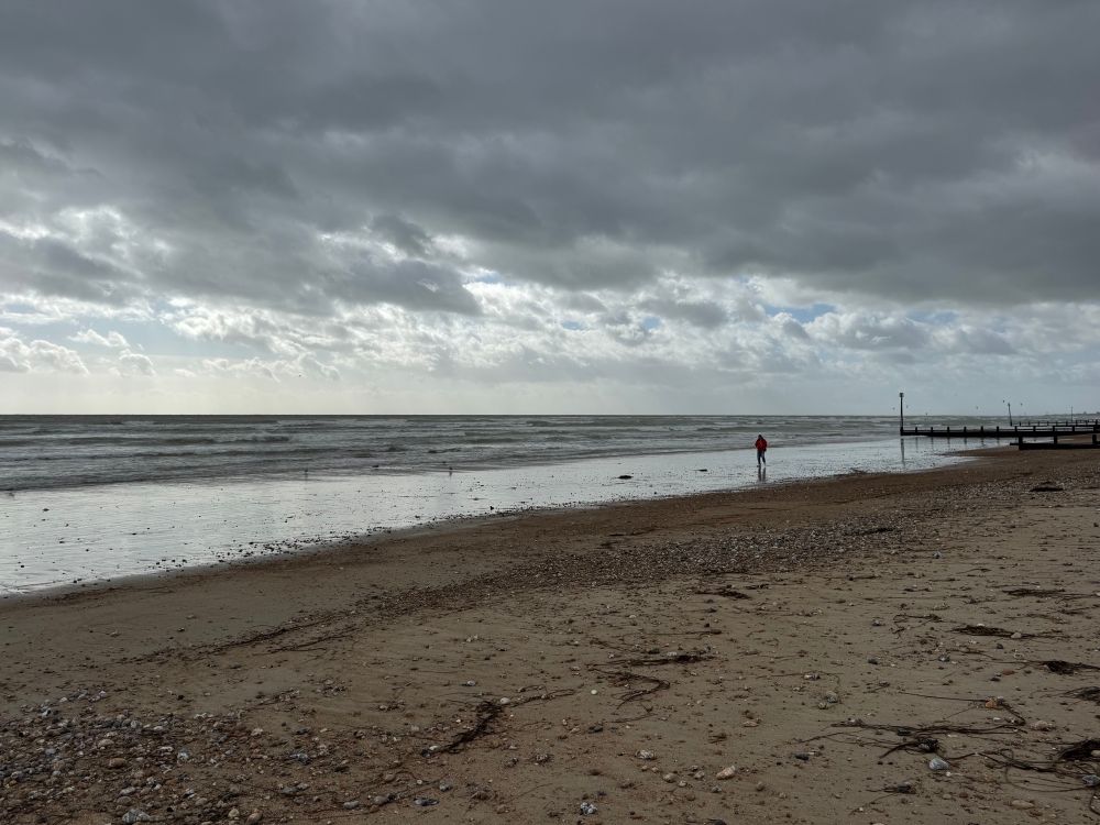 Grey skies over a dark sandy beach. The tide is out, waves slate grey, sand shiny wet. In the distance, a figure trudges towards you.