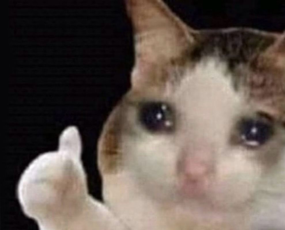 A close-up, cropped image of a white and brown cat's face with teary eyes giving a "thumbs up" with its paw. The cat, like Boyz II Men, is clearly not doing just fine.