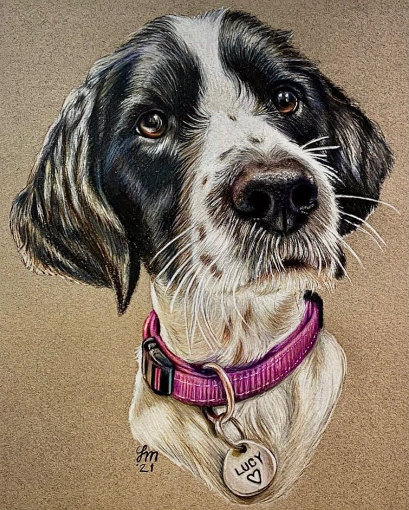 Realistic Colored Pencil Portrait of Lucy (dog),  on toned paper. 