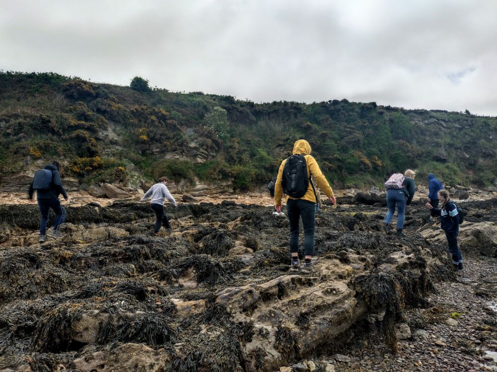 Six people walking across the rockpools covered in seaweed under a grey sky.