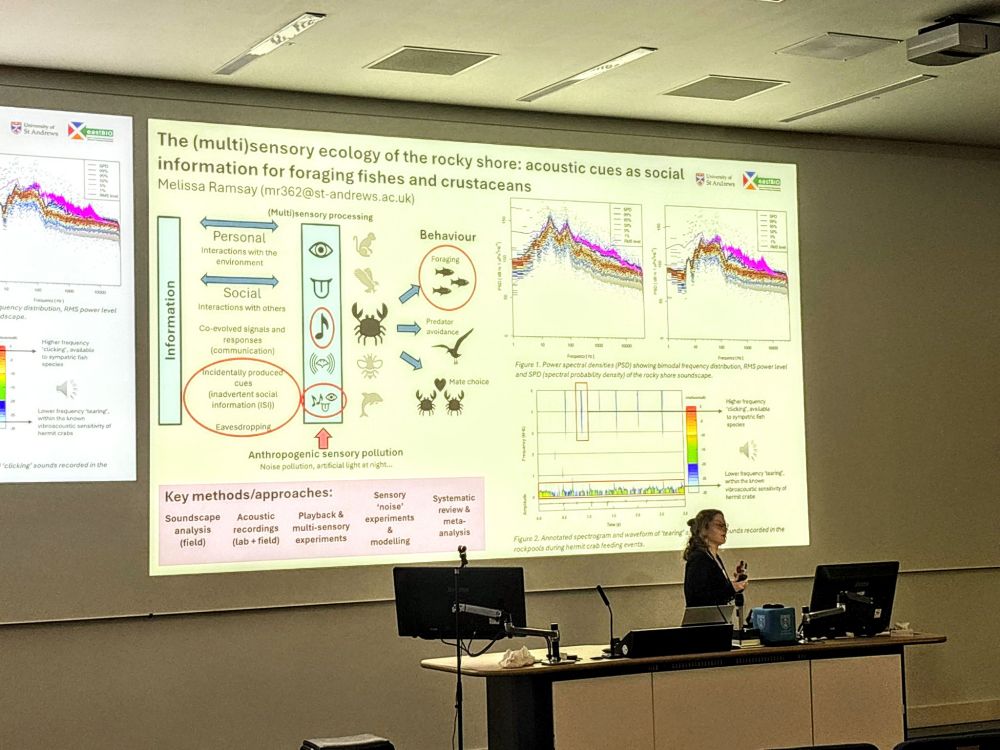 A picture of me standing in front of my slide showing preliminary results from my first PhD studies.