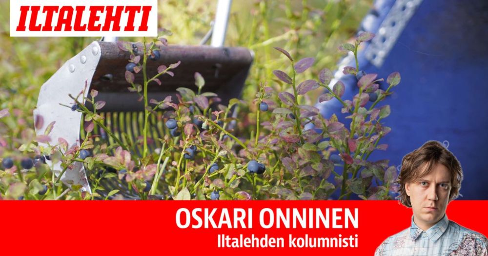 Oskari Onnisen kolumni: Suomalaisten suosikkiruoka: Halvin mahdollinen eläinmurhabulkki – Kunhan se on kotimaista