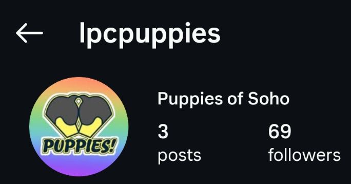 lpcpuppies Instagram page at 69 followers 