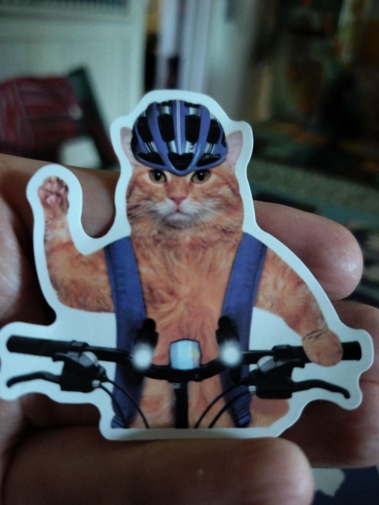 Sticker of a marmalade cat, portrait view, with a vest, bike helmet, and holding a bike handlebar with one paw and the other paw is held up as if signalling a turn (or for solidarity or something.) if you are hard of seeing, or not paying attention, you might have to do a double take because you coulda swore it was a Tom of Finland leather daddy cat.  
