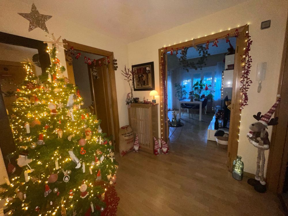 Entrada navideña a full