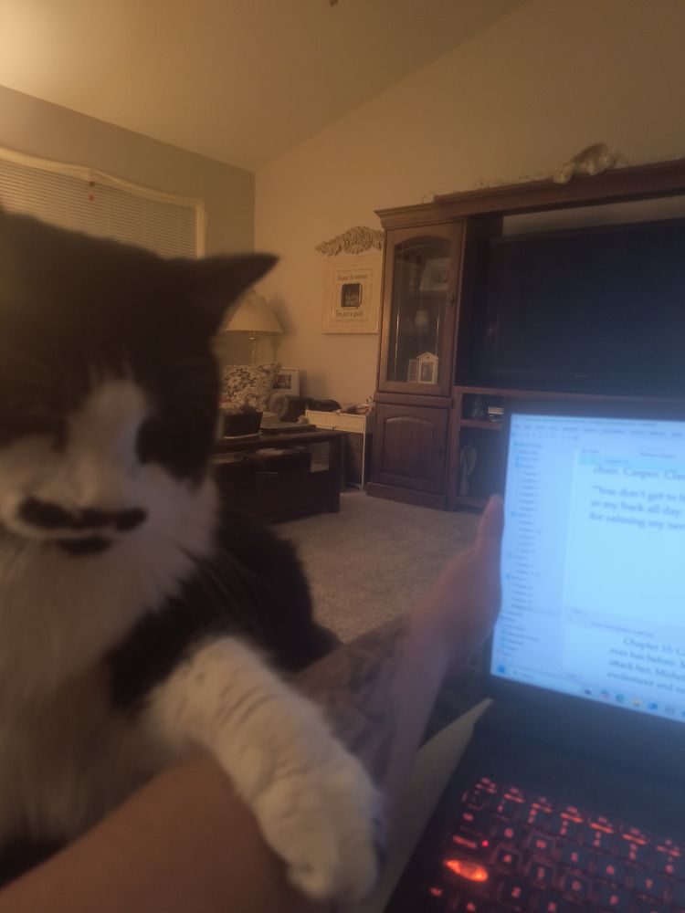 Black and white cat with a paw on an arm. The arm grips a computer to form a barrier between the cat and computer keyboard 
