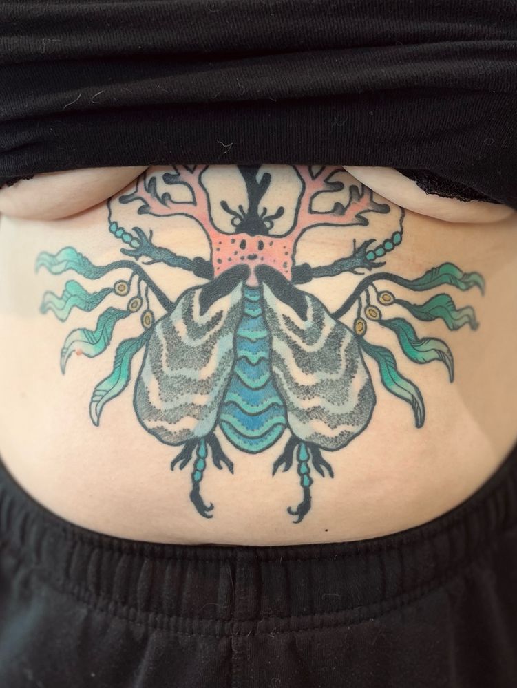 Color and Blackwork fantasy water beetle on light skinned stomach. Pink coral mandibles, kelp branch’s for wings, mussel carapace and blue body underneath.