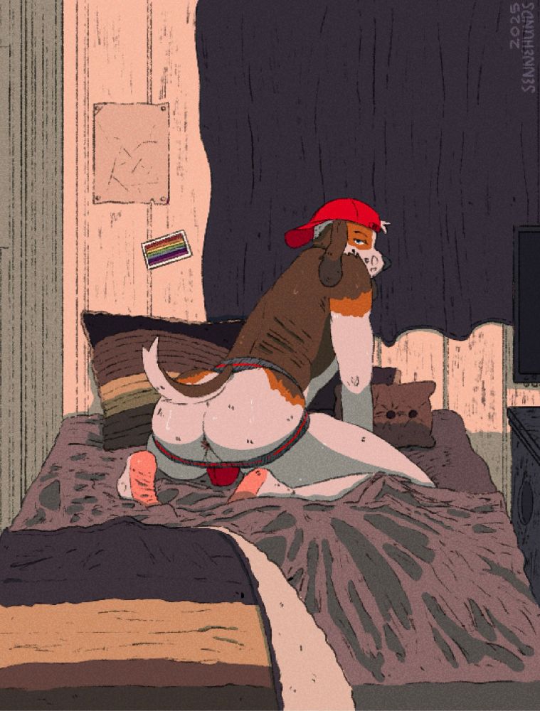 A beagle sits on a monochrome color-schemed bed, tail raised, looking at the viewer. The beagle dons a red hat, with a red and gray jockstrap. A black curtain hangs in front of the beagle with a desktop setup to the right.
