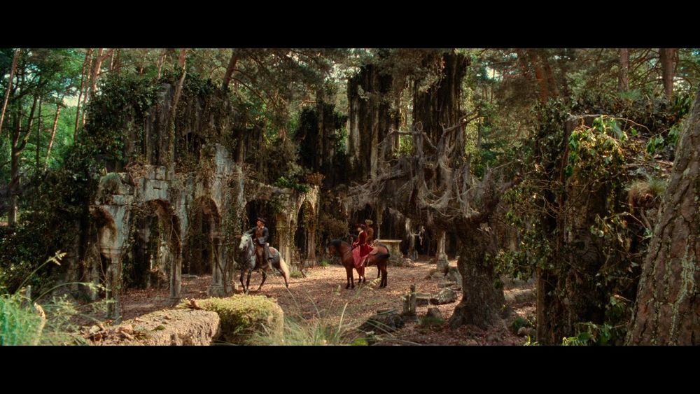 Brotherhood of the Wolf
Christophe Gans, 2001