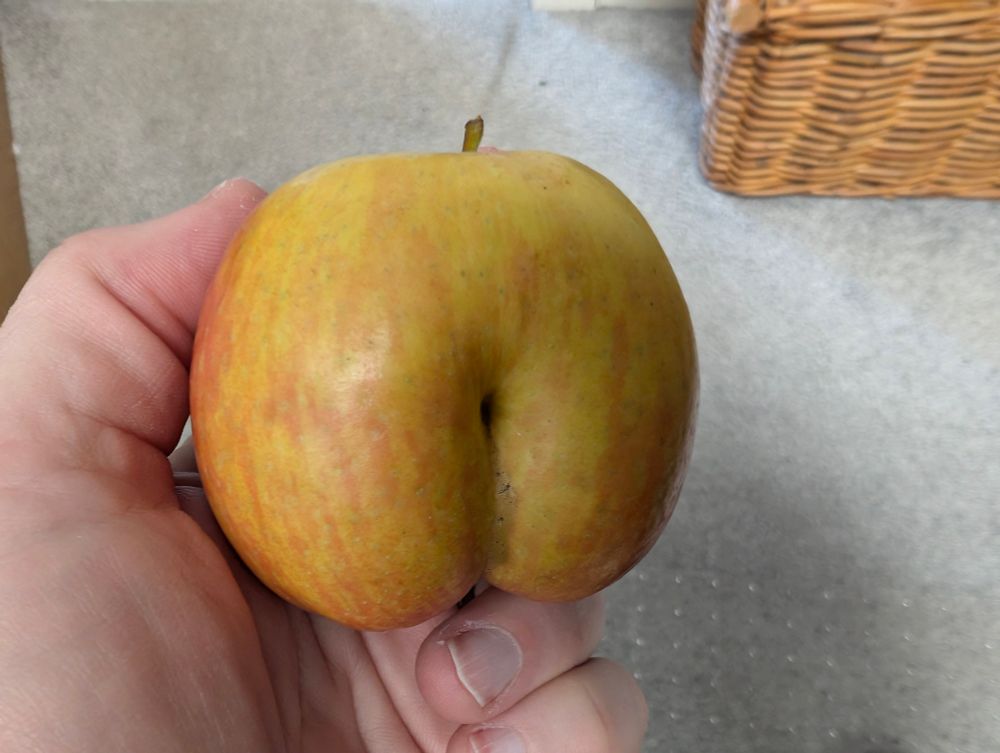 Butt Apple