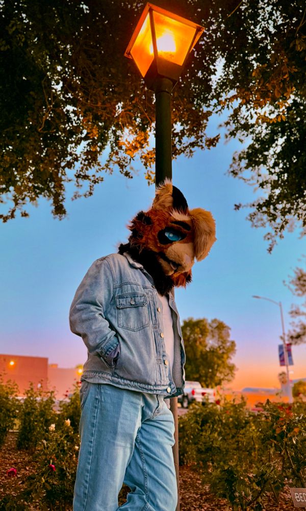 Man in denim and cat fursuit head leaning on a lamppost as the sunlight dims in the sky behind him