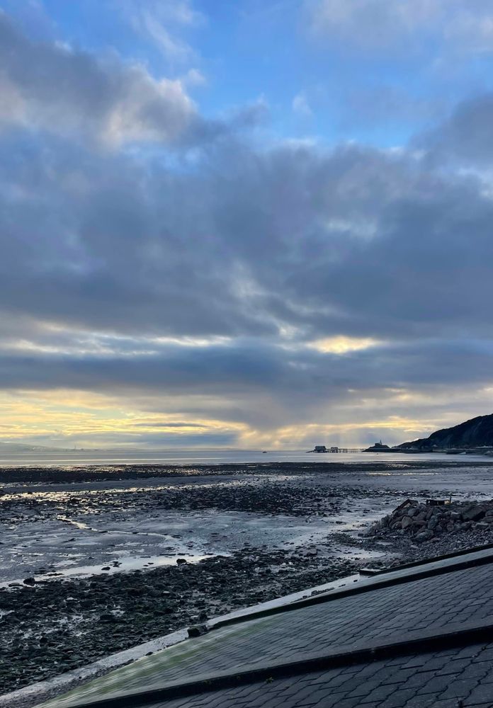 Photo of Swansea bay at low tide with Mumbles Pier on the horizon. 