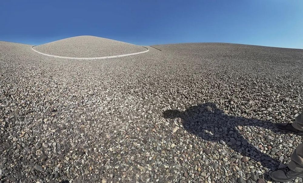 sehr, ähm, außergewöhnliche fotos von timothée chalamet, die annie leibovitz für die vogue geschossen hat