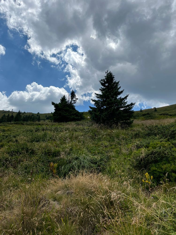 A seemingly normal mountainside…