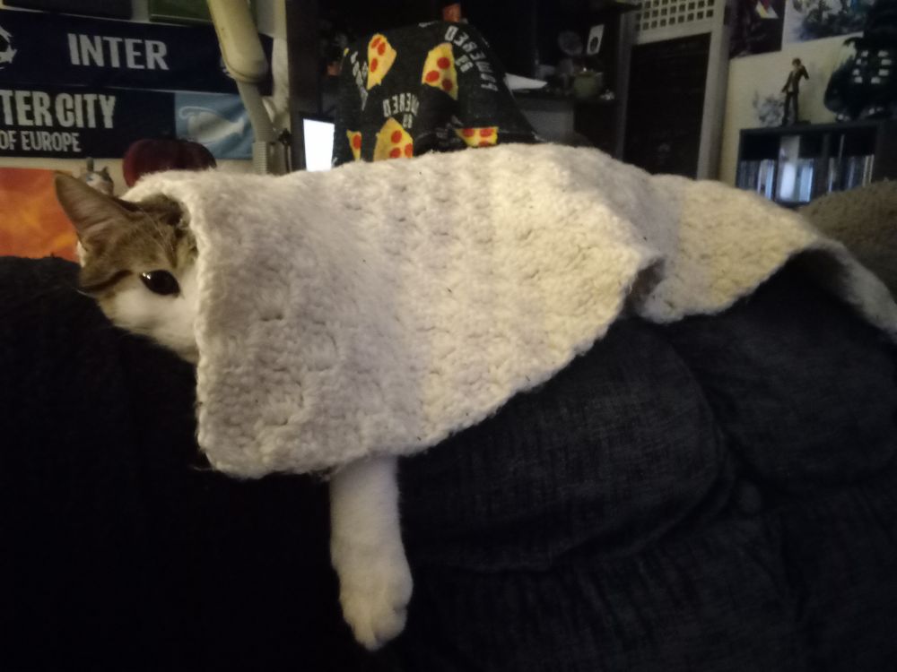 Vivi laying on top of a couch, a blanket draped over him with only a paw and half his face exposed from underneath 