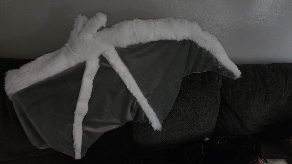 Photo of wing in flash