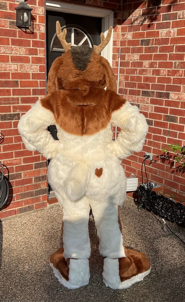 Cupid the jackalope as a fullsuit standing in the backyard facing away from the camera with a small heart shaped marking on his rear