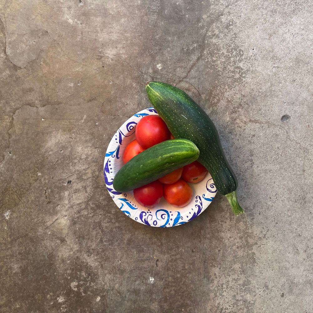 Small blue and white paper bowl filled with tomatoes, a cucumber, and a zucchini. 