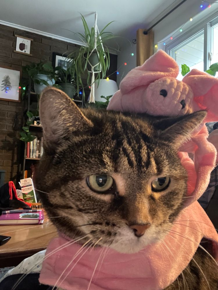 A brown tabby cat with green eyes wearing a pink pig costume. She is looking to the side with obvious sadness and distress. 