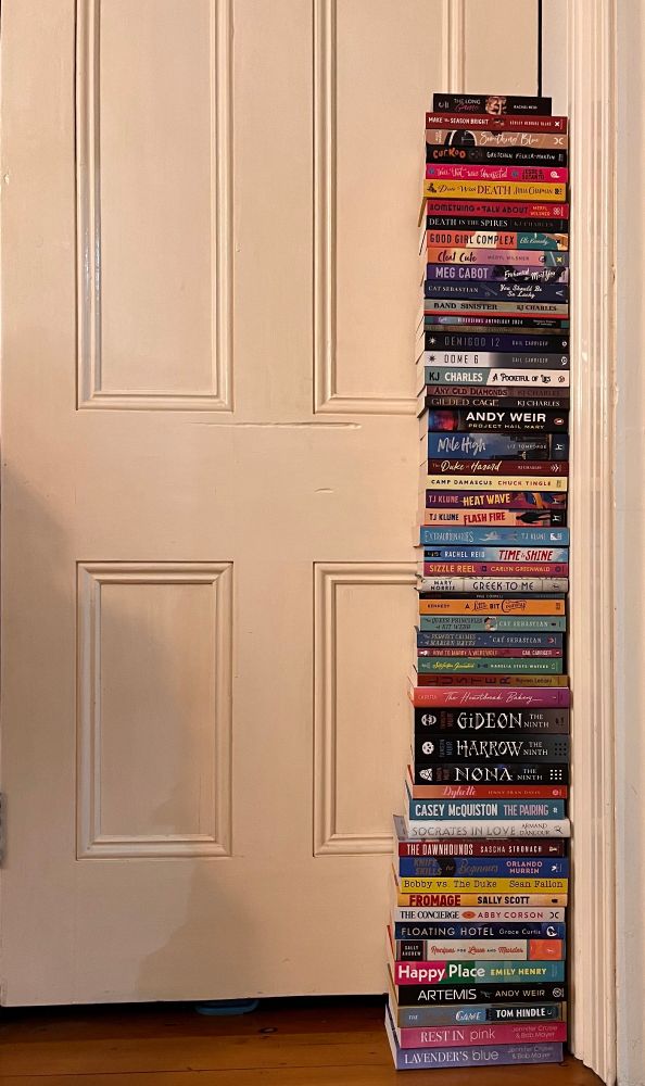 57 books (the same as last photo) standing on top of each other, reaching halfway up a cupboard door