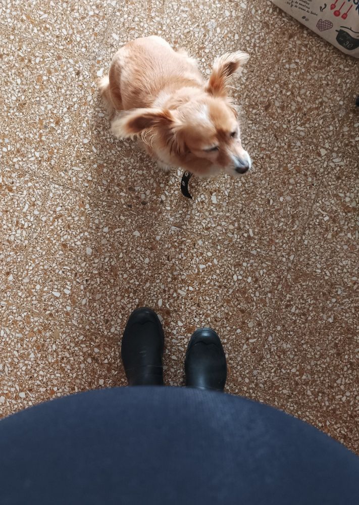 Acá con hija perruna y con hija humana horneandose ❤️