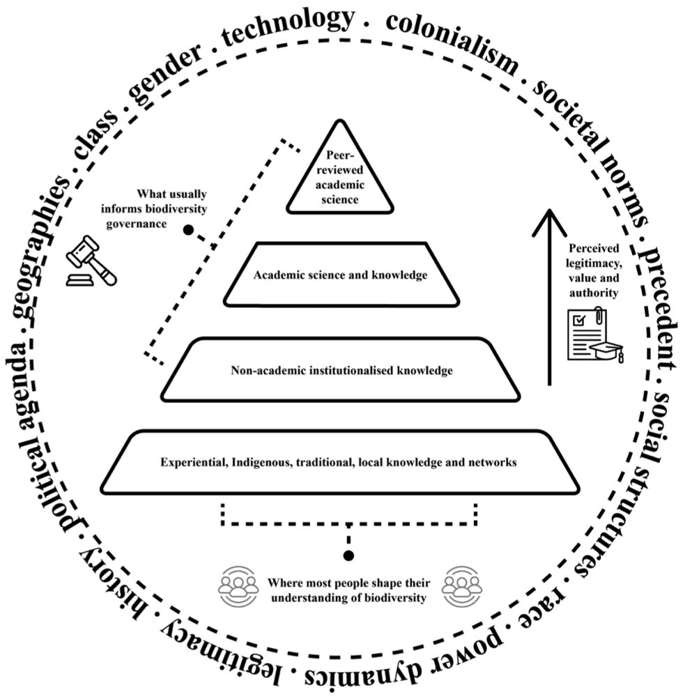 Frontiers | Reflections on the past, present, and potential futures of knowledge hierarchies in ocean biodiversity governance research