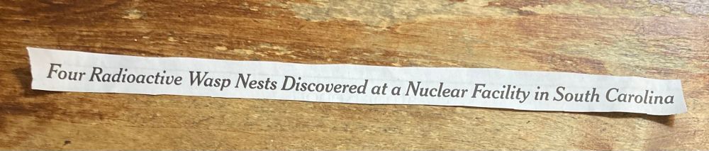 "Four radioactive wasp nests discovered at a nuclear facility in South Carolina"