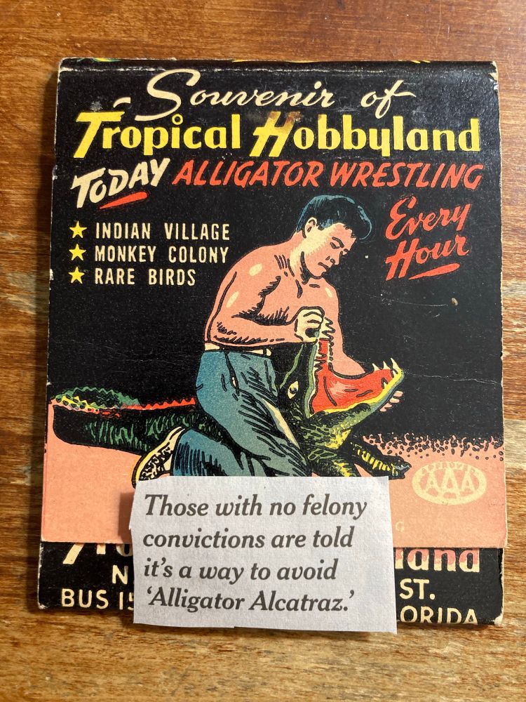 "Those with no felony convictions are told it's a way to avoid 'Alligator Alcatraz."  Man wresting alligator. 