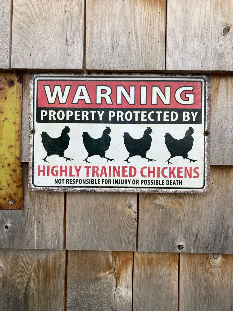 Warning - property protected by highly trained chickens.  Not responsible for injury or possible death.  