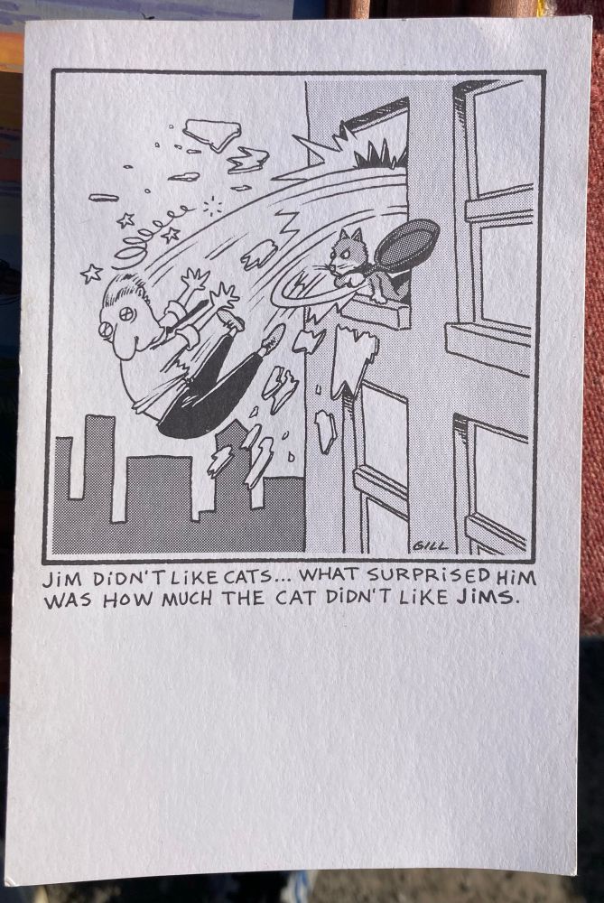 "Jim didn't like cats - what surprised him was how much the cat didn't like Jims."
