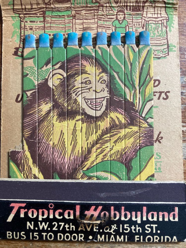 Chimpanzee matches