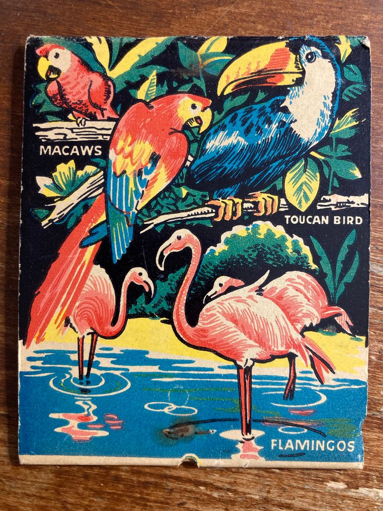 Macaws, Toucan Bird, Flamingos