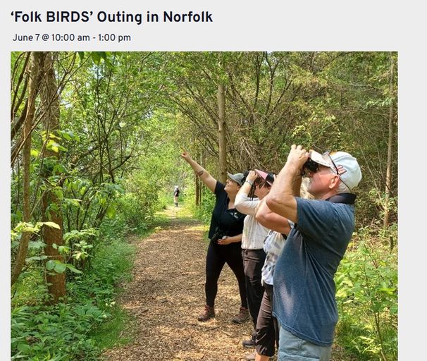 Photo of 4 people watching birds