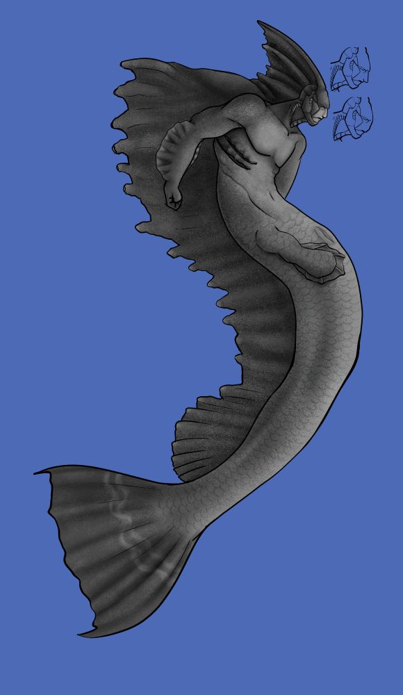 A LARGE concept piece of a merman. He's a combination of a stonefish and a lungfish, which is why he has a very long body and odd back fins (there's poisonous spikes in there!) 

Near his face is two clean alternative concepts for his face.

He is colored grey because i could not, for the life of me, figure out a color palette i liked. So he stayed grey colored. 