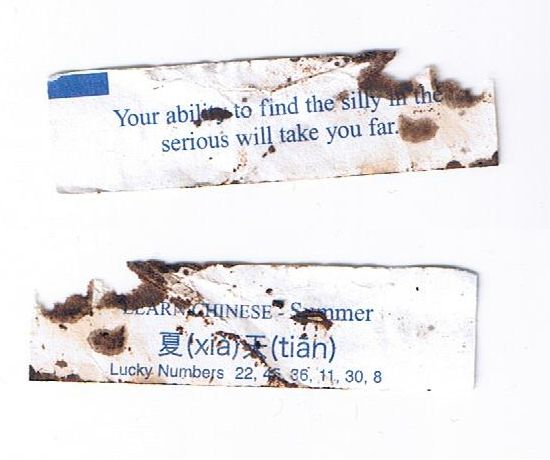 A white fortune cookie paper with blue text. The paper is somewhat destroyed with black and brown burns. Front: Your ability to find the silly in the serious will take you far. Back: Learn Chinese - Summer, Chinese text 夏 (xià) 天 (tiān), Lucky Numbers 22, 46, 36, 11, 30, 8