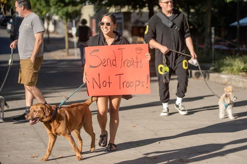Three people with dogs on leashes walking in a street. The person in the middle smiles and holds up a large sign that says, "Send Treats Not Troops!"