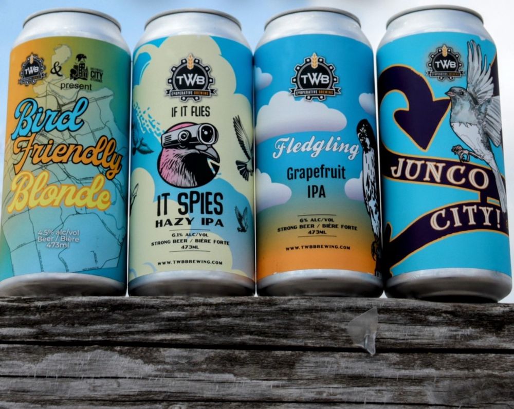 Four beers from TWB Brewery in Kitchener ON