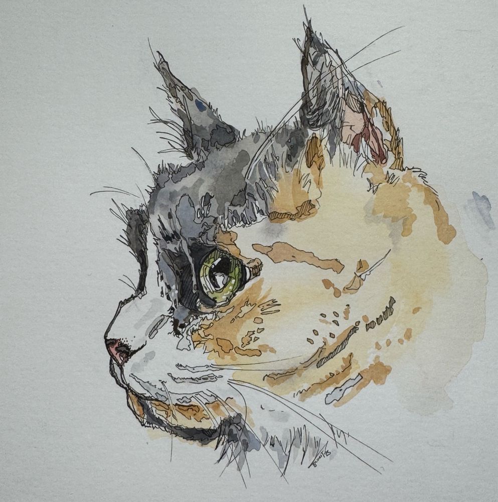 Watercolor and ink drawing of a cloud calico cat by me