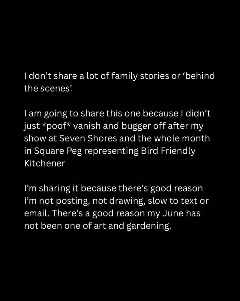 I don’t share a lot of family stories or ‘behind the scenes’.

I am going to share this one because I didn’t just *poof* vanish and bugger off after my show at Seven Shores and the whole month in Square Peg representing Bird Friendly Kitchener

I’m sharing it because there’s good reason I’m not posting, not drawing, slow to text or email. There’s a good reason my June has not been one of art and gardening