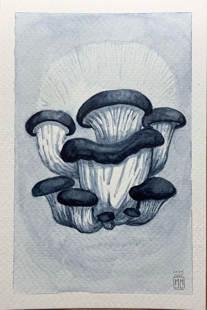 Image depicts a watercolor image of a blue oyster mushroom on a lighter blue background. Directly behind the top of the mushroom is a white negative space in the shape of a spore print for this species of mushroom. 