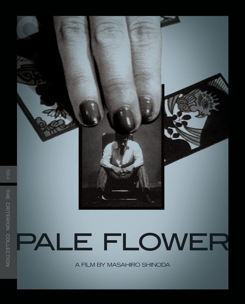 DVD cover of “Pale Flower”