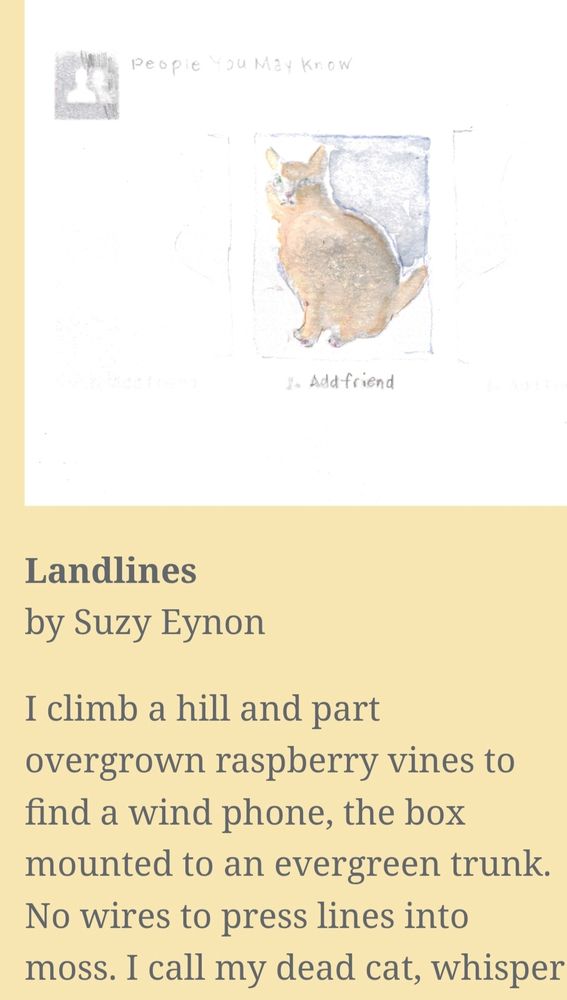 Screenshot of Suzy Eynon's piece from the Fall 2025 issue of ette review. Includes art which is an illustration of a light brown gray cat with blue eyes. 