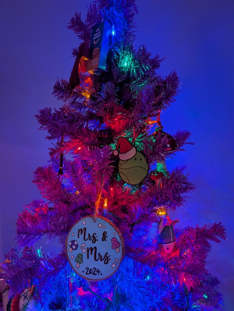 Christmas tree with kraft Mac n cheese ornament, Haro ornament, and Mrs and Mrs ornament 