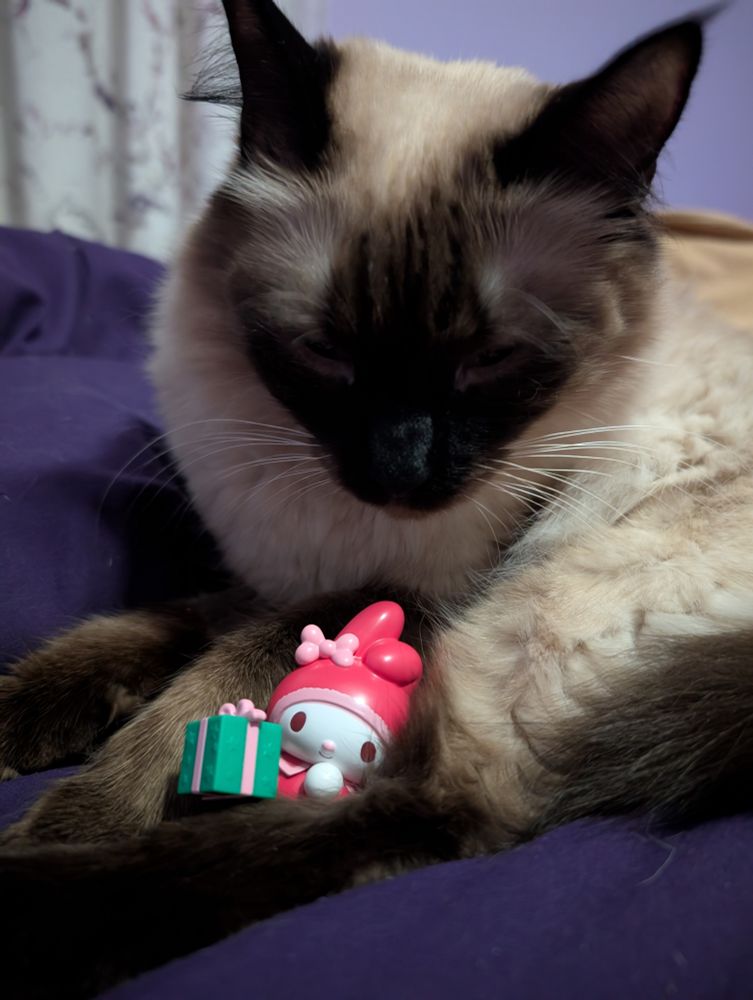 My cat Artesia cuddling with Melody Christmas figurine 