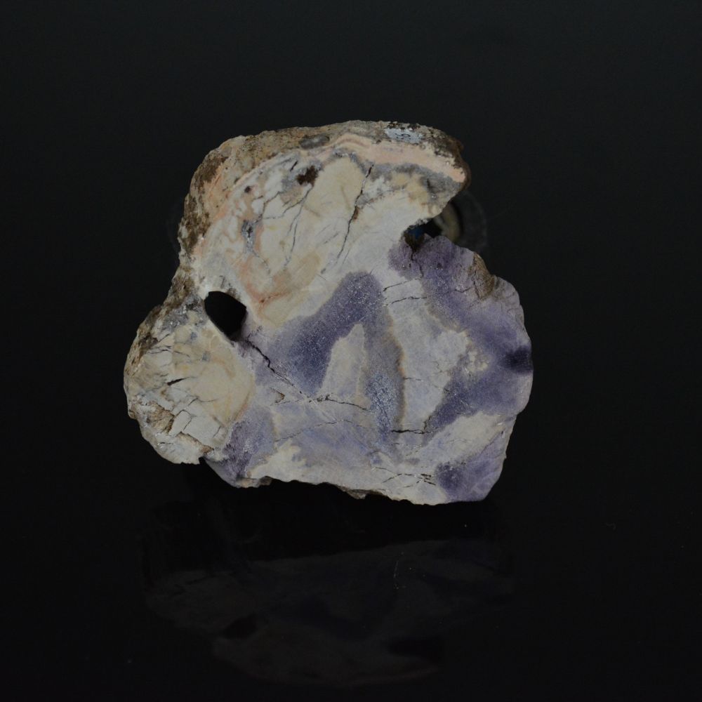Flat, cut slab of milky-white petrified wood with worm-like vein of deep purple Fluorite partially replacing it.