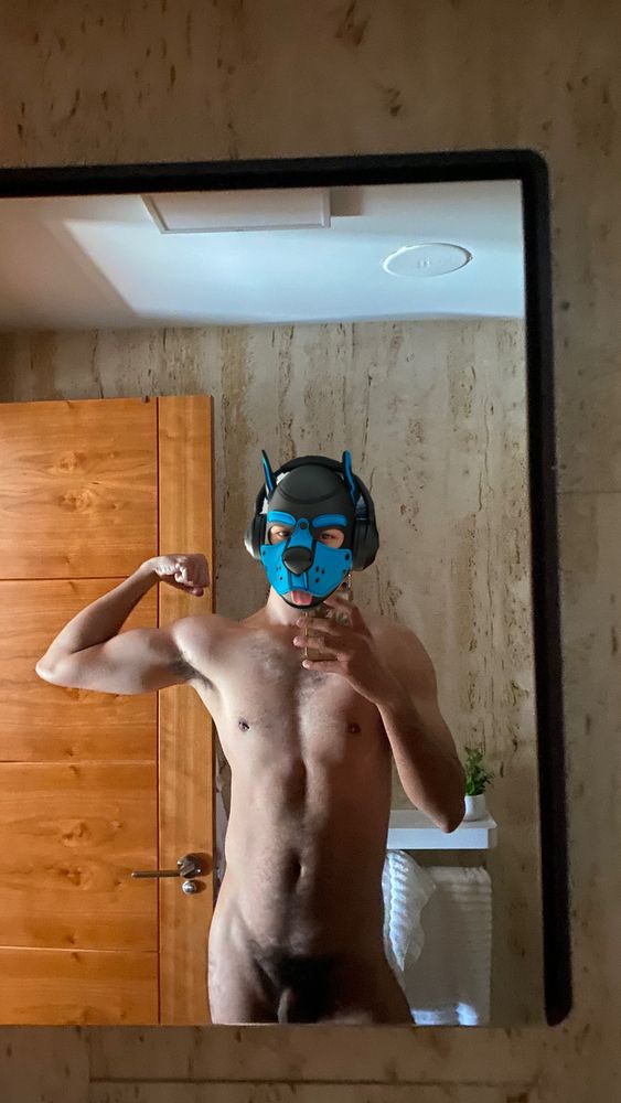 Dog taking a mirror selfie while flexing his right arm and showing off his pits.