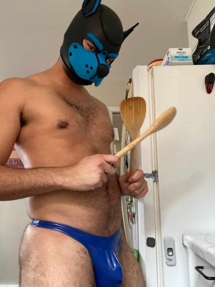 Dog in a blue thong holding two wooden spoons. He is gonna start cooking thanksgiving dinner soon. Might burn a dish or two. 