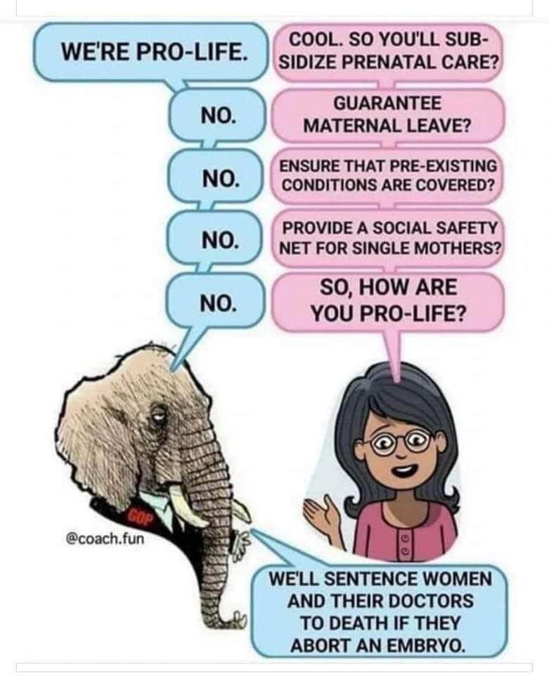 Pic of an elephant and a woman talking about healthcare. Elephant says we’re pro life and then answers no to each of the following questions by the woman: cool, so you’ll subsidize prenatal care? Guarantee maternal leave? Ensure that pre-existing conditions are covered? Provide a social safety net for single mothers? And her final question: so how are you pro-life? is answered with we’ll sentence women and their doctors to death if they abort an embryo.