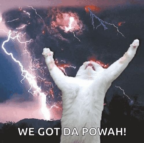 a white cat is standing in front of a lightning storm with the words we got da powah below it