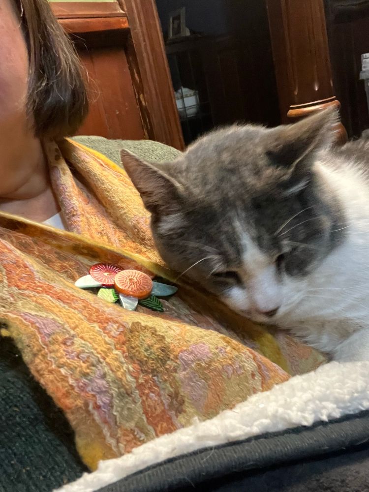 A grey and white cat snuggles against his person, who is wearing an orange paisley hand-felted woollen scarf, clipped with an Erstwilder Jocelyn Proust-designed brooch of red and orange flowering gum blossoms. 